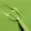 MANUCURIST GREEN LAK PETIT POIS 15ml