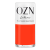 OZN PŘÍRODNÍ LAK NA NEHTY DILARA 12 ml 22free